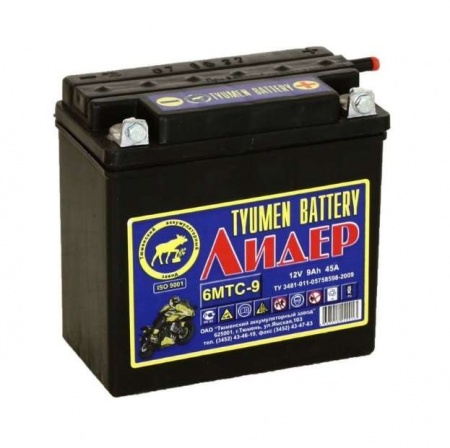 Батарея аккумуляторная АКБ 12В 6МТС-9 6МТС-10 для бензиновых генераторов с электрическим запуском Huter 64/1/23 459669