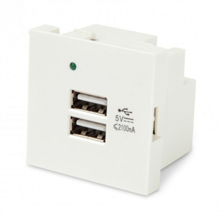 Модуль M45-USBCH2-WH розетки USB для зарядки 2 порта 2М 2.1А 5В 45х45мм бел. Hyperline 250097 1200855