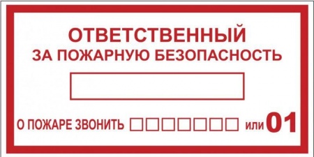 Наклейка "Ответственный за пожарную безопасность" B03 100х200мм PROxima EKF an-4-05 476908