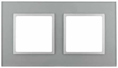 Рамка 2-м 14-5102-03 стекло Elegance алюминий+алюм ЭРА Б0034490 1232084